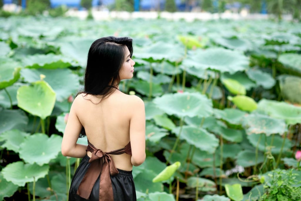 The lotus pond is wide and is considered one of the oldest lotus ponds in Hanoi.  In the lagoon, there are leaf huts to rest and take pictures.  The bamboo bridges create an old feeling, suitable for you to wear the costumes of the ancient Vietnamese.  You can pick your own desired lotus flowers to create the most satisfactory pictures.  Entrance tickets range from 20,000-40,000 VND/person.  Photo: Rose.