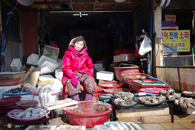 Chợ hải sản Jagalchi Chợ nằm cách cảng biển Busan khoảng một km, thuộc khu phố Nampo-dong ở Jung-gu. Jagalchi còn được gọi là chợ hải sản Busan, hình thành hơn 80 năm trước và rộng gần 65.000 m2. Đây cũng là chợ hải sản lớn nhất Hàn Quốc với nhiều khu riêng biệt trong và ngoài trời. Các khu có thời gian hoạt động khác nhau, riêng chợ đầu mối hoạt động 24/24h.