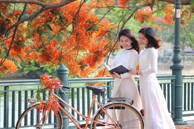 Nhiều thiếu nữ đất Cảng chọn mặc áo dài để chụp ảnh cùng hoa phượng. Phụ kiện thường kèm áo dài là xe đạp, trong các bộ ảnh tái hiện hoặc ghi lại dấu ấn những ngày còn ngồi trên ghế nhà trường.