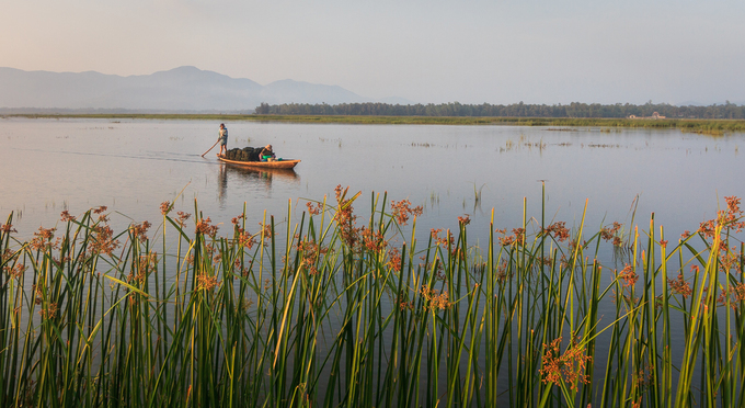 Đầm Trà Ổ còn gọi là đầm Châu Trúc hay Bàu Bàng, một đầm nước lợ tự nhiên nằm ở phía đông bắc huyện Phù Mỹ, cách trung tâm Quy Nhơn khoảng 70 km. Đầm thích hợp cho du khách yêu thích thiên nhiên và chụp ảnh phong cảnh, con người thôn quê.