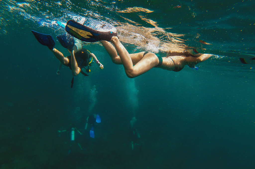Dù đi tour hay tự túc, bạn đều sẽ được trải nghiệm lặn biển ở các chặng khác nhau. Hai hình thức phổ biến nhất là snorkeling (lặn ống thở) và diving (lặn sâu bằng bình dưỡng khí). Với snorkeling, du khách vẫn sẽ nổi trên mặt nước, thở bằng miệng qua ống thở và được ngắm nhìn đại dương phía dưới qua một chiếc kính riêng. Diving phức tạp hơn bởi bạn sẽ cần trang bị đồ lặn chuyên nghiệp kèm bình oxy để có thể lặn sâu hơn. Ảnh: Nhà có hai người.