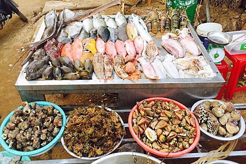 Các đặc sản khác ở Lý Sơn còn có hàu son đu đủ, mắm cá giò nhí, chả cá, rượu vú (hải sâm)... Một số loại hải sản tươi bạn có thể mua trực tiếp tại chợ rồi nhờ người dân chế biến. Ảnh: Tâm Linh.