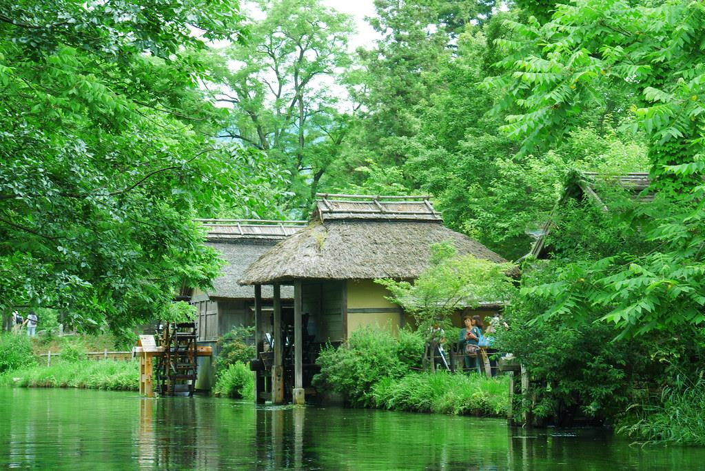 Du lịch Nhật Bản trải nghiệm sống đời thoát tục giữa vùng đất đẹp tựa tiên  cảnh 