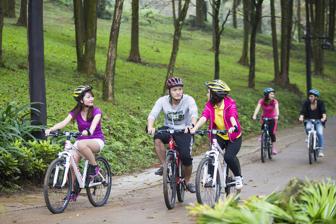 Du khách cũng có thể đạp xe để khám phá khu rừng qua một số tuyến đường trải nhựa.