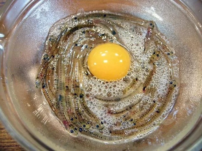 Cá nhảy múa (Shirouo no Odorigui): Món ăn này có lịch sử khoảng 300 năm với nguyên liệu chính là cá bống băng (Shirouo) có bề ngoài trong suốt. Những con cá nhỏ, còn sống sẽ được đặt trong một tô lớn. Khi bắt đầu ăn, thực khách chuẩn bị thêm một quả trứng, giấm và nước tương. Giấm trộn vào shirouo để làm chúng 