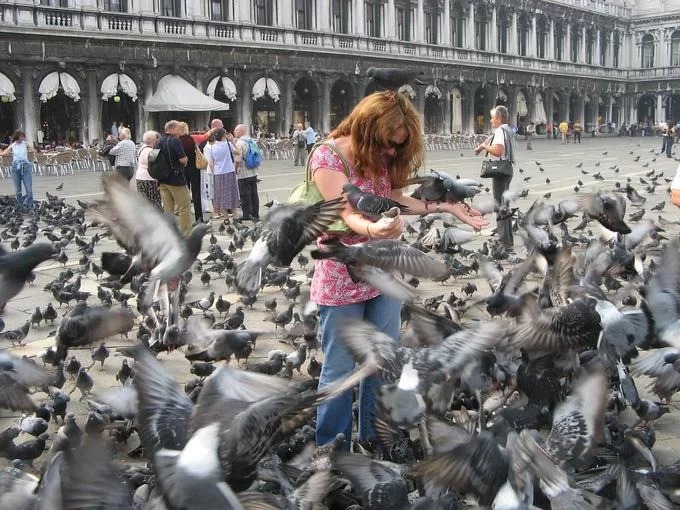 Năm 2008, thành phố ra quy định cấm du khách cho chim bồ câu ăn bởi trong phân chim có axit, làm ảnh hưởng đến các di tích cổ tại đây. Bạn có thể chơi với chim nhưng nếu bị bắt gặp đang cho chim ăn, sẽ đối mặt với mức phạt 50-200 Euro (khoảng 1,3-5,1 triệu đồng)