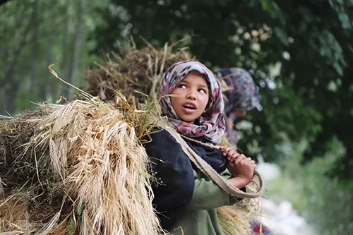 Em gái người Balti ở làng Turtuk.