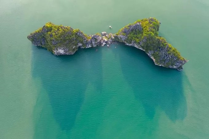 Toàn bộ vịnh có gần 2.000 đảo đá vôi, trong đó có khoảng 900 đảo đã đặt tên, với đủ mọi hình dạng. Các đảo đá chỗ thì tập trung, có nơi lại tách rời, tạo nên nét chấm phá cho vịnh Hạ Long.