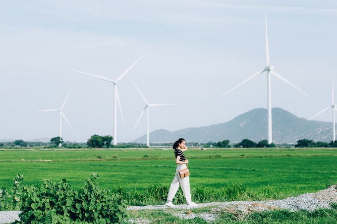 Công trình ở Đầm Nại hiện có 16 trụ turbine, nằm trên diện tích 9,6 ha. Đường kính cánh quạt ở đây là 114 m. Đây cũng là loại turbine gió lớn nhất Việt Nam hiện nay. Bao quanh các trụ turbine là cánh đồng lúa, phía xa là núi đồi. Ảnh: Nguyễn Thế Vinh.