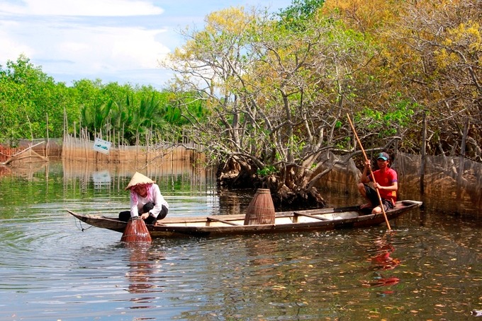 Hàng ngày, người dân sống xung quanh vẫn vào rừng ngập mặn đánh bắt thủy sản. Nhiều người cũng kiếm thêm thu nhập từ việc cho du khách thuê thuyền để chụp ảnh.