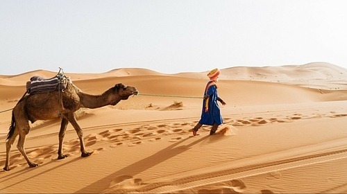 Merzouga và Zagora là nơi phổ biến nhất để khám phá sa mạc Sahara. Ảnh: Dimitrios Papageorgiou.
