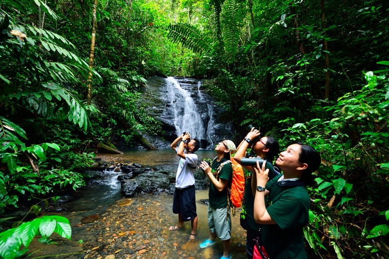 Công viên quốc gia Ulu Temburong là điểm dừng chân hấp dẫn không thể bỏ qua tại đất nước này. Công viên nằm trong khu vực tập trung những khu rừng nguyên sinh chưa được khai phá. Tạp chí du lịch nổi tiếng The Culture Trip từng nhận định nhờ chính sách bảo vệ của Quốc vương Brunei trong những năm 1990 đã ngăn chặn nạn phá rừng, bảo tồn hầu hết khu rừng nhiệt đới nguyên thủy. Ảnh: Gody.