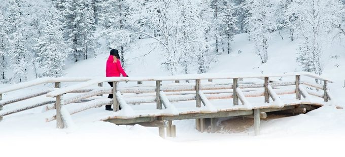 Vào mùa đông, cây cối được bao phủ trong lớp băng dày, trong tiếng Phần Lan gọi là “tykkylumi”. Lớp tuyết phủ mang lại cho cảnh quan một diện mạo khác. Khách sạn nằm biệt lập ở một khu vực hoang vắng, vì vậy thích hợp để khám phá thiên nhiên hoang dã của Lapland.