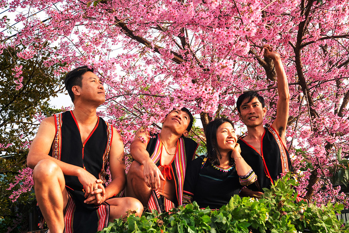 Nhóm trai gái dân tộc Ba Na trong trang phục truyền thống ngồi dưới một cây mai anh đào.