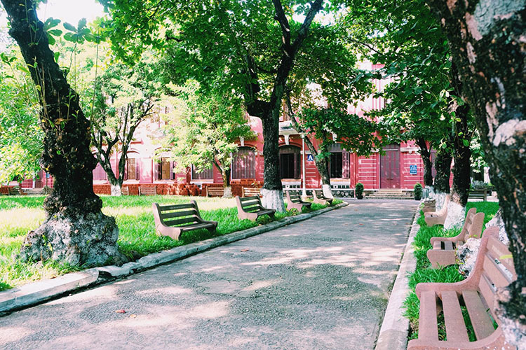 Khuôn viên sân trường có nhiều cây cổ thụ rợp bóng, tạo không khí mát mẻ ngay cả trong những ngày hè nóng bức. Ảnh: Nguyễn Hoàng Hà