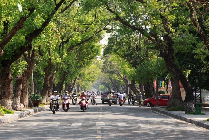3. Thành phố xanh của Việt Nam  Huế là đô thị có mật độ cây xanh cao nhất cả nước, với hơn 64.000 cây xanh trên đường phố, công viên. Nhờ đó, tiêu chuẩn về không khí ở Huế luôn đảm bảo.Với hệ thống cây xanh dày đặc, vào tháng 6/2016, Huế là thành phố đầu tiên của Việt Nam được Quỹ Bảo tồn Thiên nhiên Thế giới (WWF) vinh danh là "Thành phố xanh quốc gia".  Đến Huế, du khách và người thân có thể hít được một bầu không khí trong lành không ô nhiễm, đi bộ dưới những hàng cây xanh trên đường phố, trong công viên dọc bờ sông Hương.