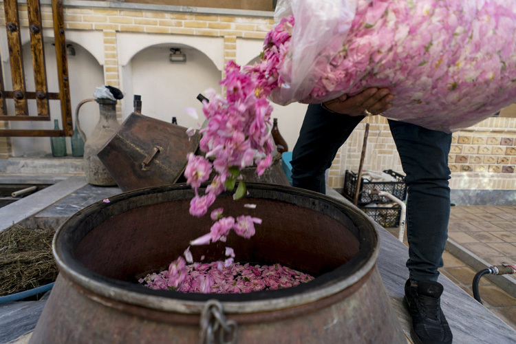 Người dân Ba Tư có truyền thống chưng cất nước hoa hồng để làm nước hoa và cánh hoa cũng được dùng trong các món ăn, thảo dược. Ảnh: Atlasobscura.