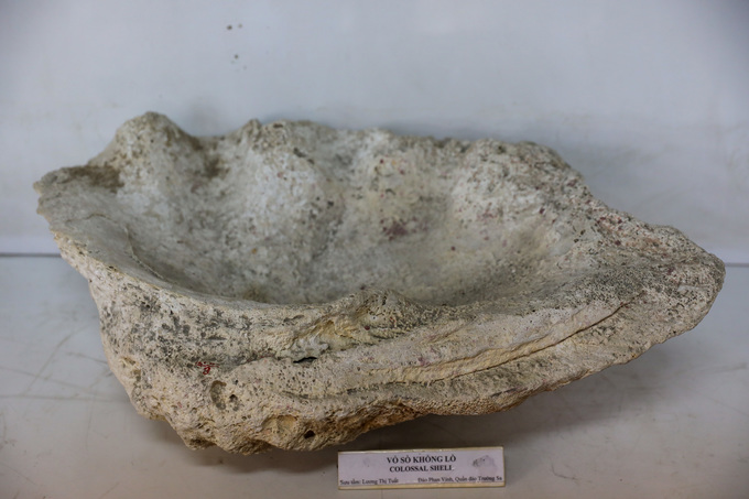 Một vỏ sò khổng lồ đã hóa đá được tìm thấy ở đảo Phan Vinh, thuộc quần đảo Trường Sa của Việt Nam.