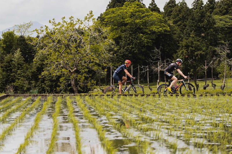 Giữa những con đường núi yên tĩnh, những ngọn đồi nhấp nhô và những vạt cỏ trải dài trên cánh đồng lúa, các tay đua xe đạp từ khắp nơi trên thế giới đến để thưởng ngoạn phong cảnh ấn tượng của Shizuoka.