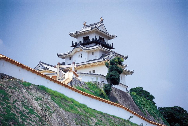Shizuoka là tỉnh có những tòa lâu đài cổ xưa nhất ở Nhật Bản đã tồn tại gần 1000 năm từ thời Chiến Quốc. Lâu đài Kakegawa được xây dựng vào thế kỷ 15 và là một trong những kiệt tác kiến trúc được bảo tồn nguyên vẹn nhất.