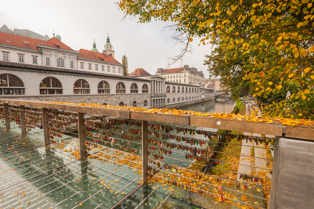 7. Cầu Butcher, Slovenia: Khóa tình yêu bắt đầu xuất hiện trên cây cầu này từ năm 2010. Đến nay, cầu trở thành địa điểm hẹn hò lãng mạn của những đôi tình nhân Slovenia. Họ đến đây ghi lại những lời hẹn thề, khắc tên mình lên ổ khóa và treo trên cầu. Ảnh: Chanman