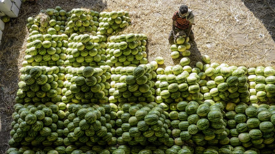 Khoảnh khắc người lao động đang sắp xếp tỉ mỉ từng trái dưa hấu được nhiếp ảnh gia Noah Seelam ghi lại ở chợ trái cây Gaddiamnaram (Hyderabad, Ấn Độ).
