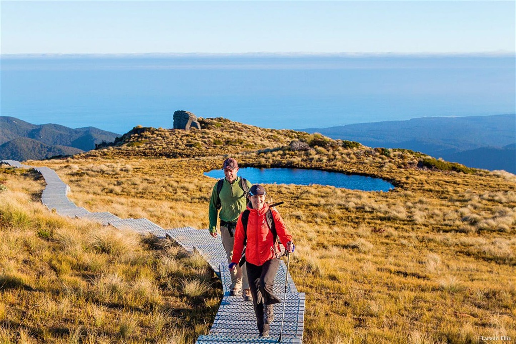 Con đường Hump Ridge còn gọi là "Đại lộ thứ 11" của New Zealand. Đến đây, bạn sẽ được trải nghiệm hành trình dài 61 km xuyên qua công viên quốc gia Fiordland (Đảo Nam của New Zealand). Trên đường đi là khung cảnh rừng rậm, ven biển và núi non, với view ngắm toàn cảnh miền Nam đại dương và đảo Stewart. Để chinh phục hết Hump Ridge, bạn có thể phải ở lại qua đêm trên đường đi.