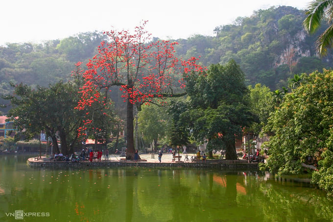Những cây hoa gạo ở chùa Thầy (xã Sài Sơn, huyện Quốc Oai, Hà Nội) lại nở rộ, tô điểm thêm cho không gian ngôi chùa cổ kính.