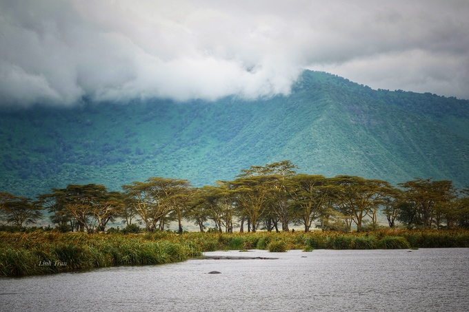 Tanzania nằm ở Đông Phi, nơi có nhiều thảo nguyên rộng lớn ngút tầm mắt. Đất nước này có hai công viên quốc gia nổi tiếng là Serengeti, ngôi nhà của voi, sư tử, báo, trâu cùng tê giác; và Kilimanjaro, nơi có ngọn núi cao nhất châu Phi.