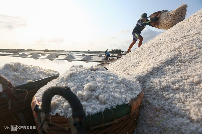 Những đống muối lớn là thành quả lao động cực nhọc của diêm dân. Theo những người làm việc tại đây, giá muối đen được thương lái mua tại ruộng từ 800-900 đồng một kg, muối trắng từ 1.200-1.400 đồng mỗi kg.