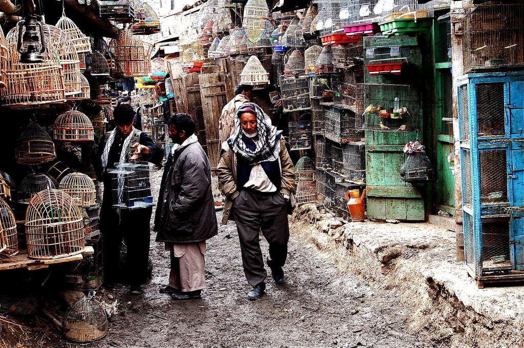 Chợ chim Ka Faroshi, Afghanistan: Ở Afghanistan, người dân thường nuôi chim làm thú cưng. Chợ chim Ka Faroshi ở Kabul bán rất nhiều loại chim như hoàng yến, sẻ, bồ câu... Con đường bụi bặm giờ đầy những con chim nhốt trong lồng tre. Khu chợ còn là nơi người dân đặt cược vào những trận đấu "chọi chim", từ các con chim chiến đấu lớn đến chim cút nhỏ hơn. Ảnh: Pinterest.