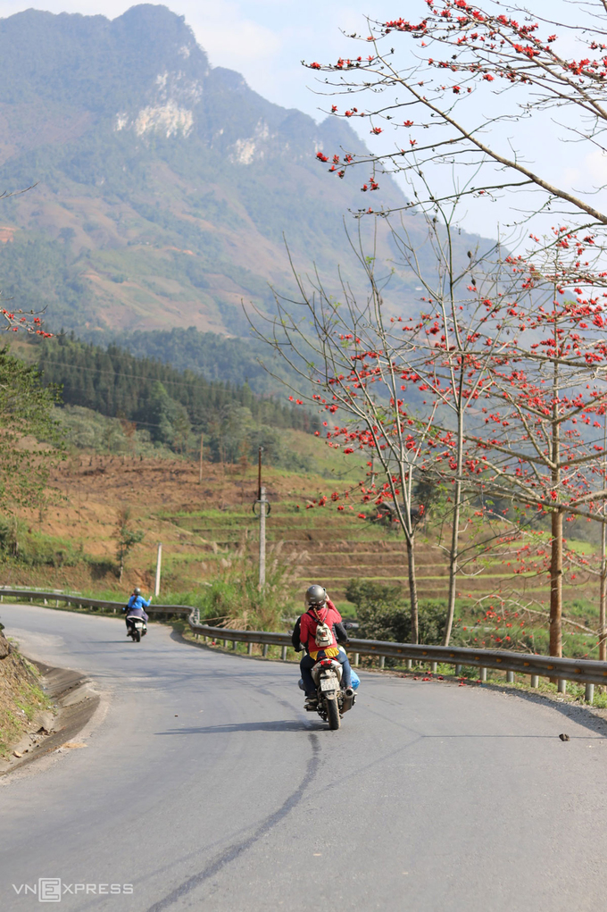 Hoa gạo nở đỏ rực ở dốc Bắc Sum. Cùng với Cổng Trời và Núi đôi Quản Bạ, dốc Bắc Sum là một trong những điểm tham quan chính ở Hà Giang.