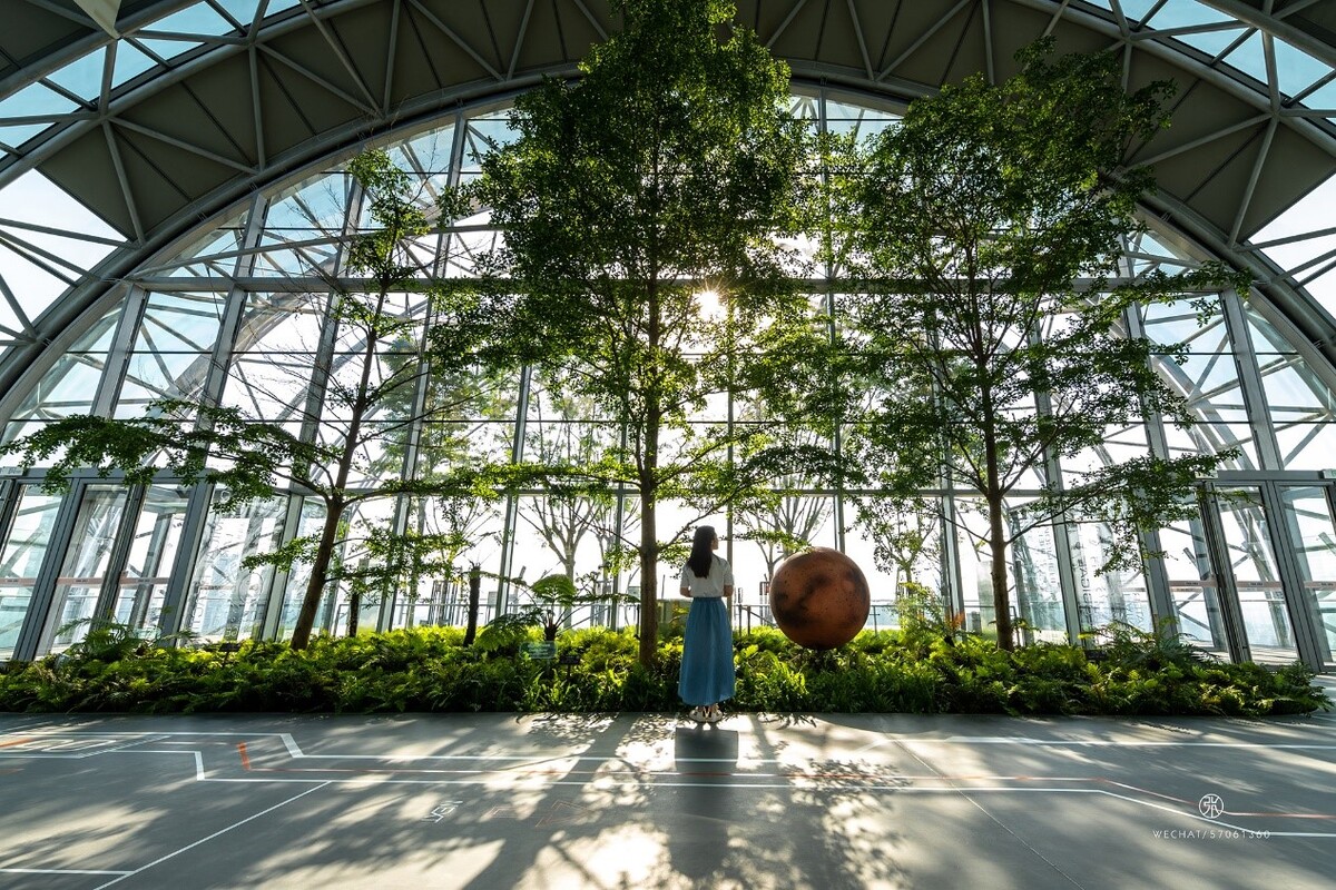   Nơi này còn có không gian xanh tạo nên "khu vườn trên không", với gần 120 cây thân gỗ có thể cao tới 9 m khi trưởng thành hoàn toàn.