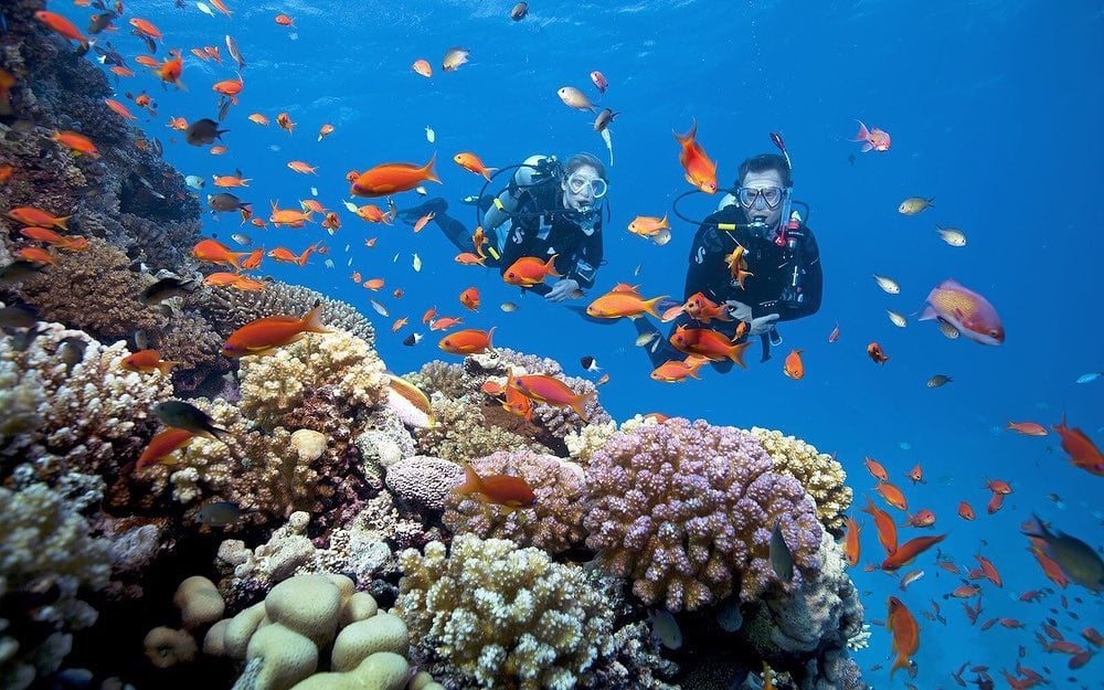 Bãi Xếp, Hòn Dài, Hòn Tai... là những địa điểm lặn ngắm san hô lý tưởng cho chuyến khám phá thế giới sống động và nhiều màu sắc dưới đại dương. Với mức giá khoảng 150.000-1,4 triệu đồng, bạn có thể lựa chọn cho mình một hình thức lặn biển phù hợp để khám phá thế giới dưới nước ở Cù Lao Chàm. Ảnh: Wygo.club.