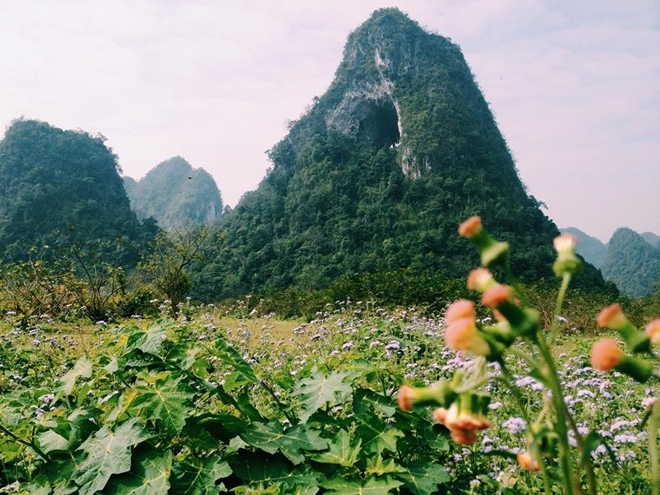 Photo: Cao Bang Dusty