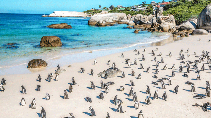 Bãi biển ở Nam Phi