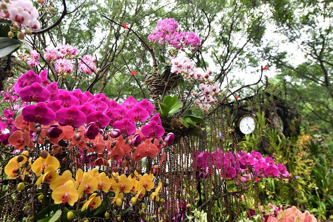 The Singapore Botanic Gardens. Ảnh: Singapore Garden Festival