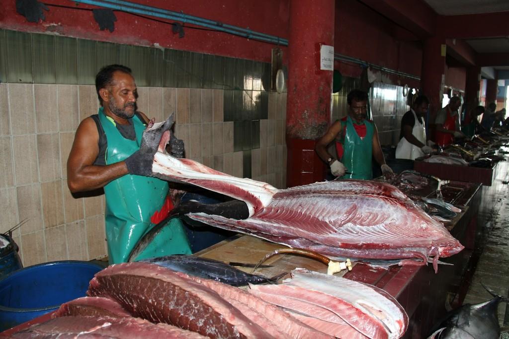 Chợ cá ở Male