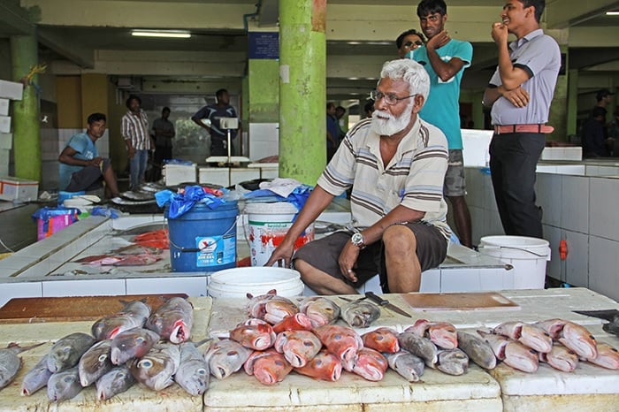 Chợ cá ở Male1