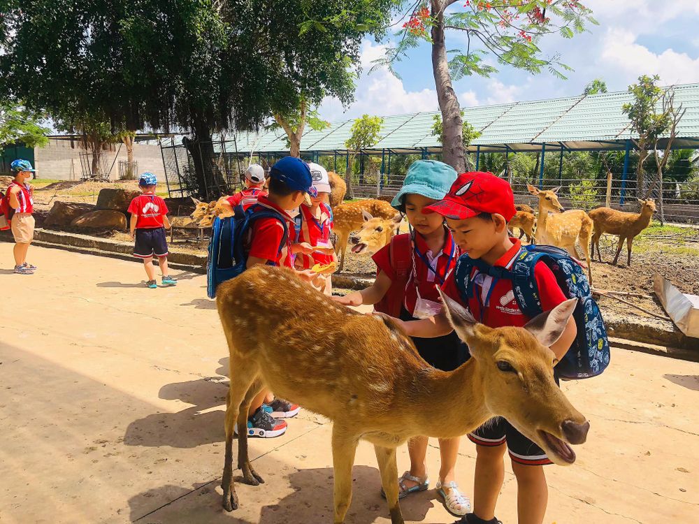 Mỹ Quỳnh safari ivivu 6