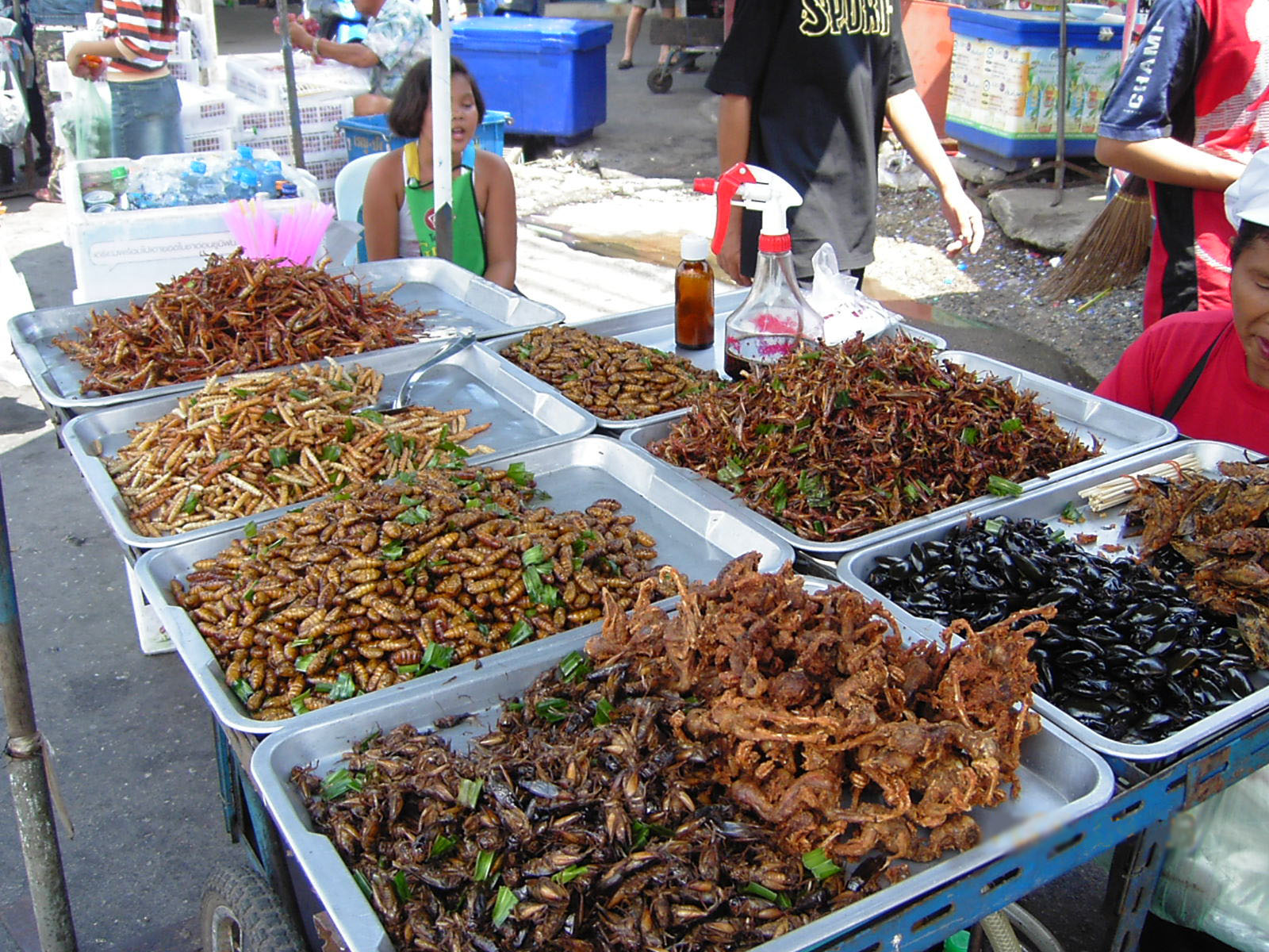 Món côn trùng chiên độc lạ ở Thái Lan
