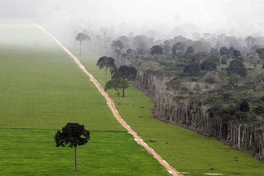 Cảnh quan ở Amazon. Ảnh: Inside Climate News
