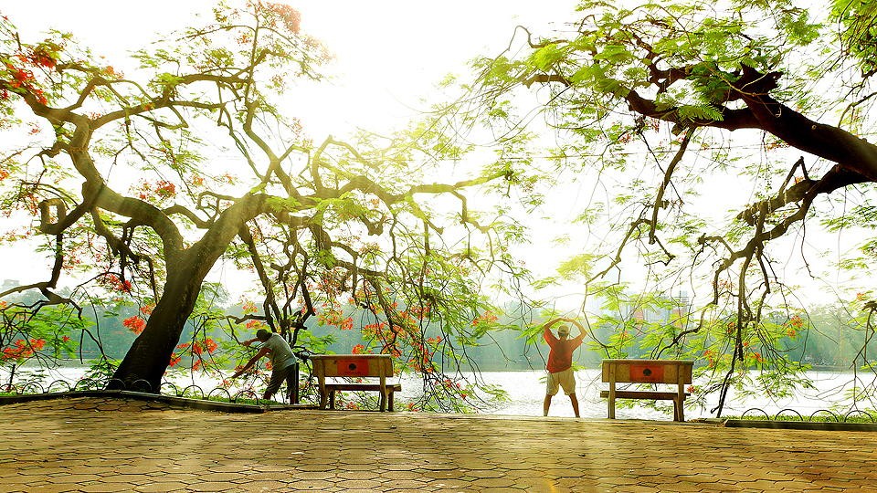 buổi sáng HG