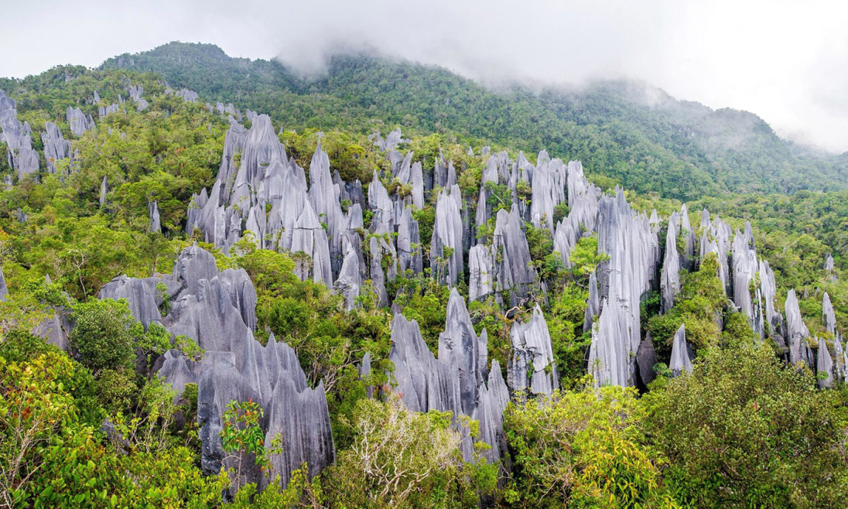 Vườn quốc gia Gunung Mulu, Malaysia