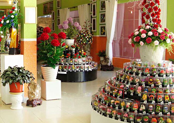 Showroom Hoa Khô3