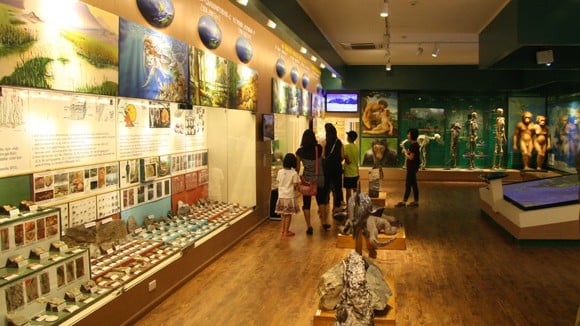 The exhibition of the history of life