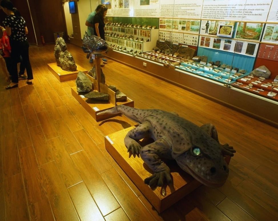 Reptile and amphibian exhibition area