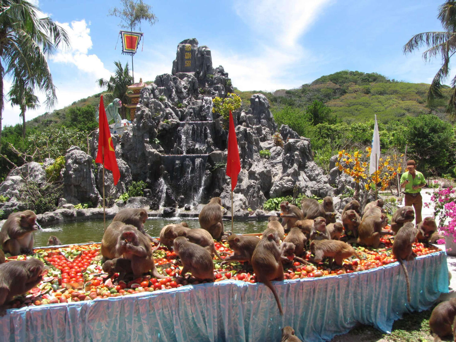 Đảo khỉ Nha Trang - "Hoa quả sơn" giữa vùng biển xinh đẹp - iVIVU.com