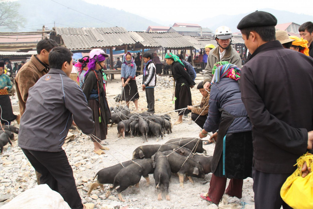 Thịt cắp nách khá phổ biến ở Sa Pa và các tỉnh vùng núi phía Bắc