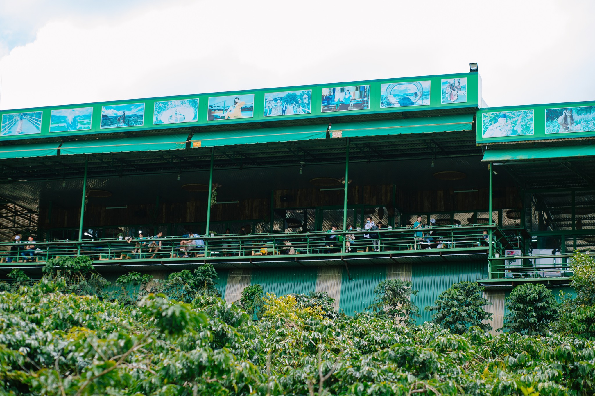 Mê- Linh -Coffee- Garden-ivivu